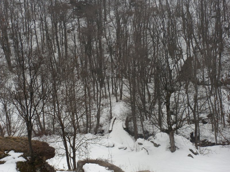 fine febbraio 2011 050.jpg